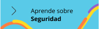 Aprende sobre Seguridad