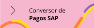 Conversor de Pagos SAP